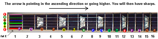 Guitar fretboard indcating sharp notes along the E string