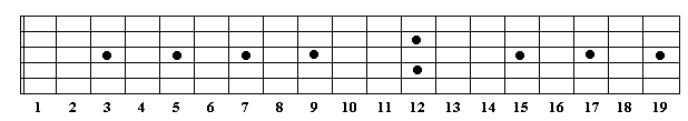 bass guitar neck diagram blank